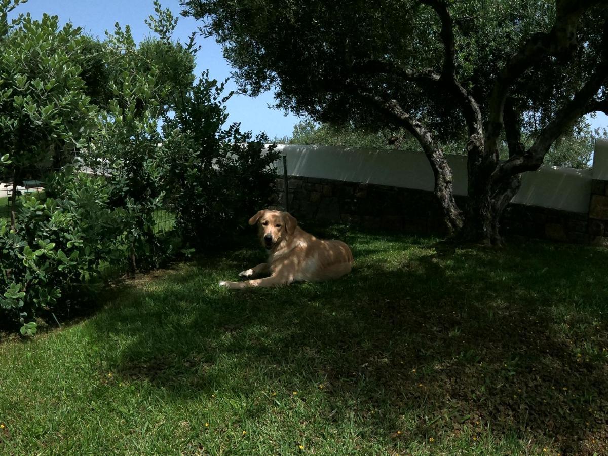 Villa Nefeli